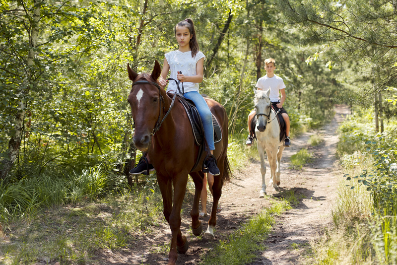 Group of Teenagers Horseback Riding in Summer Park